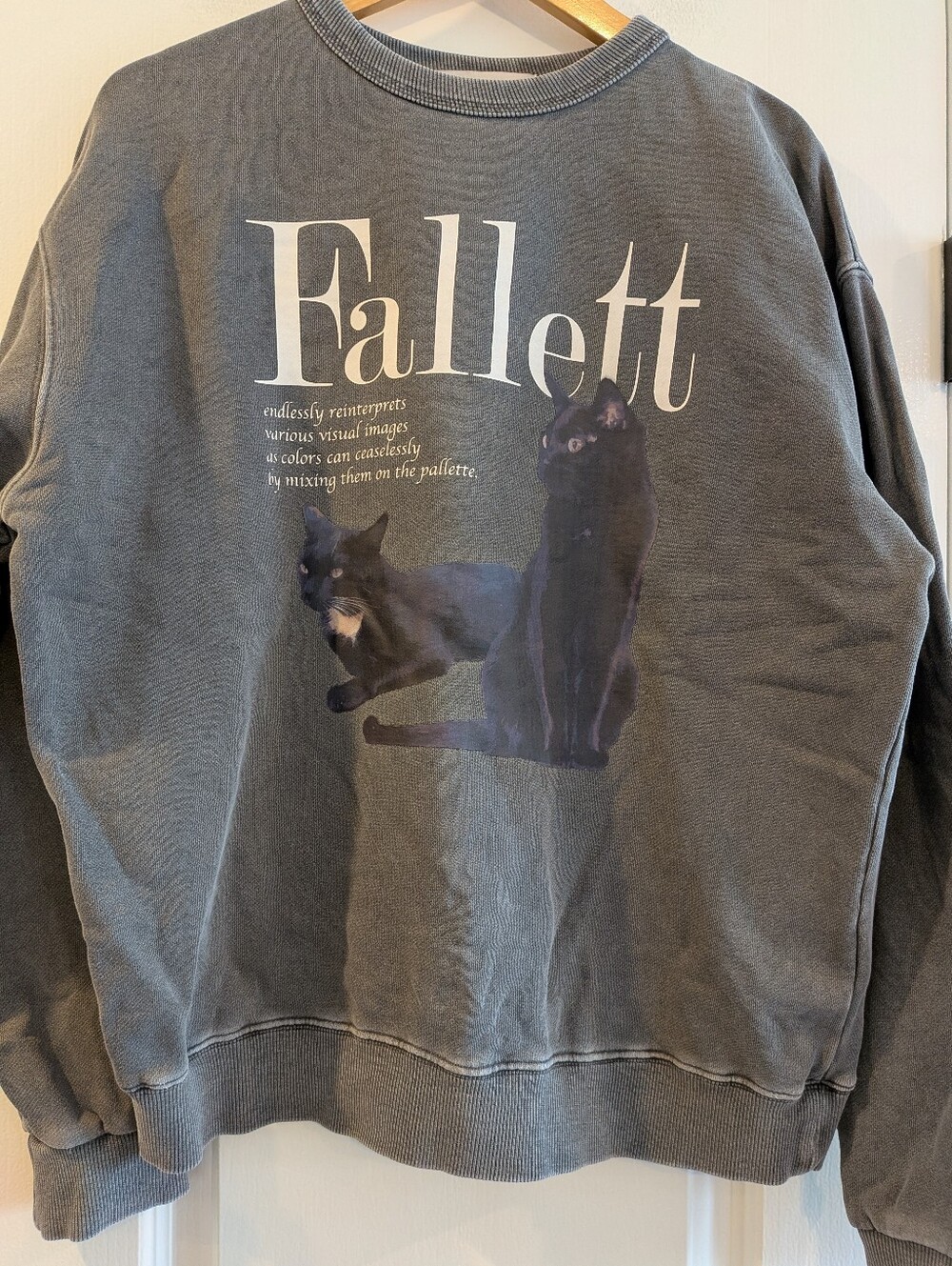 Fallet Cat Deuce Nero Sweatshirt Pigment Charcoal Gray Oversized Korean Size S - Picture 4 of 16